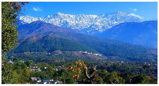 Angel'S Inn Resort Dharamsala Exteriér fotografie